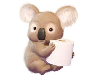 cushelle toilet roll koala bear