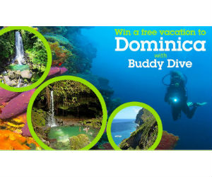 Buddy Dive Dominica