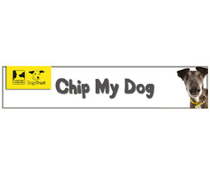 Chip My Dog