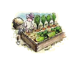 Growing Vegetables Guide
