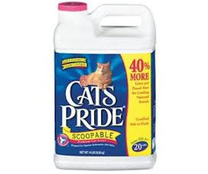 Cats Pride