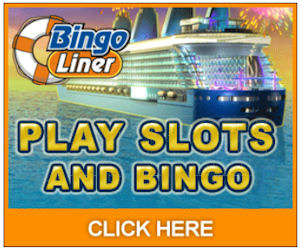 Download Bingo Liner