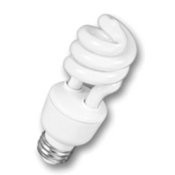 Go Carbon Free Light Bulb
